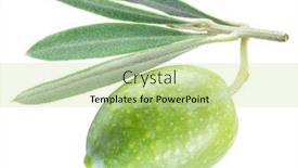  Presentation with olive green - PPT layouts enhanced with one-green-natural-olive background and a mint green colored foreground