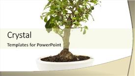  Presentation with green industries plant - PPT theme with one green plant in ceramic background and a  colored foreground