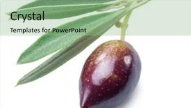  Presentation with olive - Presentation theme with one-half-ripe-semi-ripe background and a seafoam green colored foreground
