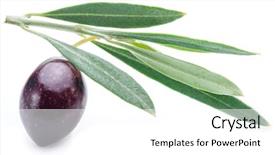  Presentation with olive - Beautiful presentation theme featuring one-half-ripe-semi-ripe backdrop and a white colored foreground