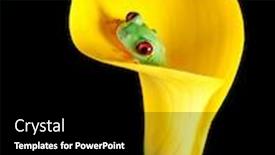  Presentation with tree - Presentation theme enhanced with one-inch-red-eyed-tree background and a black colored foreground