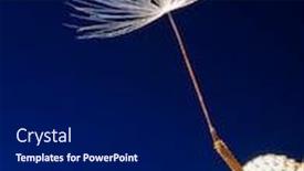  Presentation with last - Presentation having one-last-dandelion-seed-macro background and a navy blue colored foreground