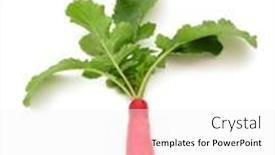  Presentation with red - PPT layouts having one-long-red-radish background and a white colored foreground