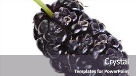  Presentation with white mulberry - Slides enhanced with one mulberry close up macro background and a dark gray colored foreground