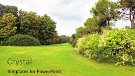  Presentation with green lawn - Cool new slides with one-of-europe-s-finest backdrop and a yellow colored foreground