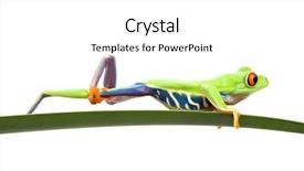  Presentation with webbed - Slide set with one of its long hind background and a  colored foreground