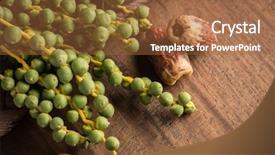  Presentation with guava fruits fresh green fruit - Slides having islam plants - bunch of young and green background and a red colored foreground