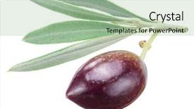  Presentation with paths - Beautiful PPT theme featuring one olive berry with leaves on a white background file contains clipping paths backdrop and a mint green colored foreground
