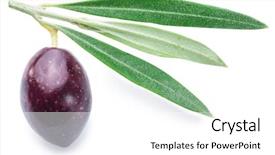  Presentation with paths - PPT theme enhanced with one olive berry with leaves on a white background file contains clipping paths background and a white colored foreground