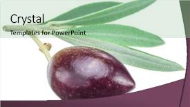  Presentation with paths - Audience pleasing slides consisting of one olive berry with leaves on a white background file contains clipping paths backdrop and a seafoam green colored foreground