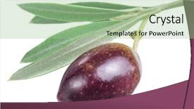 Presentation with paths - Theme having one olive berry with leaves on a white background file contains clipping paths background and a seafoam green colored foreground