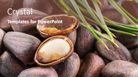  Presentation with nut - PPT theme featuring one opened pine nut over unshelled nuts macro food background background and a tawny brown colored foreground