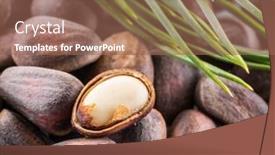  Presentation with nut - PPT theme consisting of one opened pine nut over unshelled nuts macro food background background and a coral colored foreground