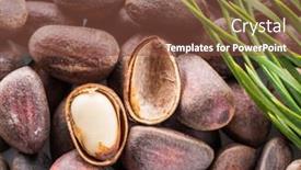  Presentation with nut - Slide set featuring one opened pine nut over unshelled nuts macro food background background and a tawny brown colored foreground