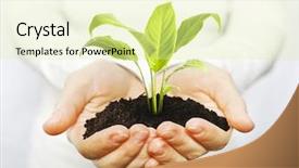  Presentation with plant growth - Amazing slide set having one plant in female hands backdrop and a blonde colored foreground