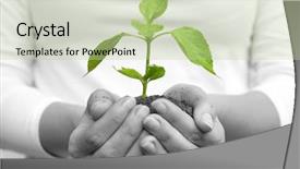  Presentation with plant growth - Beautiful slides featuring one plant in female hands backdrop and a mint green colored foreground