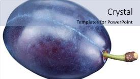  Presentation with octopus on isolated white - Colorful presentation design enhanced with one plum isolated backdrop and a teal colored foreground