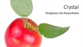  Presentation with green apple - Colorful PPT theme enhanced with one-red-apple-with-green backdrop and a white colored foreground