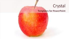  Presentation with water droplets - Beautiful presentation design featuring one red apple with water droplets on white background backdrop and a lemonade colored foreground
