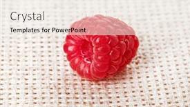  Presentation with fruit - PPT layouts consisting of one-red-ripe-raspberry-fruit background and a sky blue colored foreground