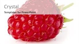  Presentation with white - Presentation featuring one-ripe-raspberry-isolated background and a white colored foreground