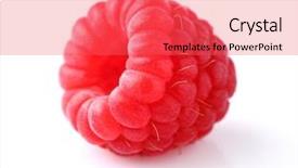  Presentation with one shareholder - Presentation with one ripe raspberry background and a red colored foreground