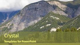  Presentation with bison - Presentation theme having one single american bison bison background and a tawny brown colored foreground