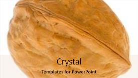  Presentation with walnut - Cool new slides with one single closed walnut isolated over white backdrop and a gold colored foreground