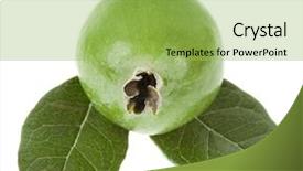  Presentation with fruit - Presentation theme having one single feijoa fruit acca background and a yellow colored foreground