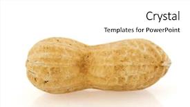 Presentation with peanut - PPT theme featuring one single peanut isolated over white background background and a white colored foreground