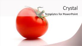  Presentation with tomato plant - Presentation theme with one tomato background and a white colored foreground