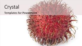  Presentation with rambutan - Amazing PPT theme having one whole single rambutan backdrop and a lemonade colored foreground