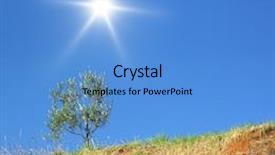  Presentation with olive tree - Presentation theme enhanced with one young olive tree background and a teal colored foreground