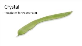  Presentation with cacao fruit raw cacao beans - Presentation design having onesource - raw green beans isolated background and a  colored foreground