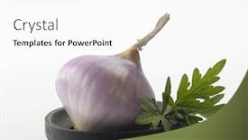  Presentation with onion - Presentation design consisting of onion-and-mugwort-natural-herb background and a white colored foreground