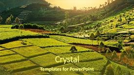  Presentation with indonesia - Amazing presentation having onion field in indonesia backdrop and a tawny brown colored foreground