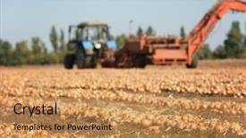  Presentation with agricultural - Slide set enhanced with onion harvesting with modern agricultural background and a yellow colored foreground