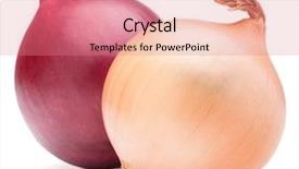  Presentation with onion - Beautiful presentation theme featuring onion vegetable bulbs isolated backdrop and a coral colored foreground