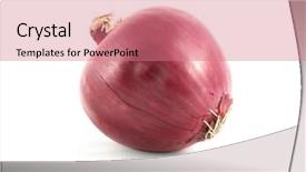  Presentation with onion - Theme featuring onion background and a coral colored foreground