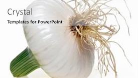  Presentation with onion - 