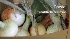  Presentation with grown - Beautiful theme featuring onions home grown onions backdrop and a tawny brown colored foreground