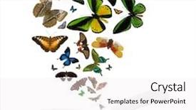  Presentation with open book - Audience pleasing PPT layouts consisting of open blank book and flying backdrop and a white colored foreground