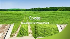  Presentation with way - Slide deck with open book of nature background and a shamrock green colored foreground