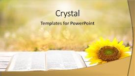  Presentation with open book - Cool new presentation theme with photo image portrait of funny attractive cute young asian man in white shirt smiling and showing thumb up sign while standing over grey background backdrop and a light gray colored foreground.