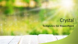  Presentation with open book - Beautiful presentation theme featuring small british kitten and adult cat on the background of christmas decorations backdrop and a gray colored foreground