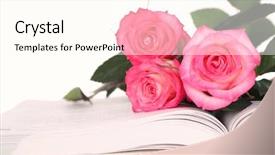  Presentation with book wide open - Audience pleasing presentation design consisting of open book with beautiful roses backdrop and a cream colored foreground