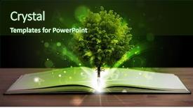  Presentation with light book - PPT theme consisting of open book with magical green background and a tawny brown colored foreground