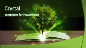  Presentation with green tree - Beautiful PPT layouts featuring open book with magical green backdrop and a tawny brown colored foreground