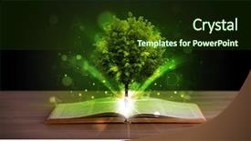  Presentation with green tree - Slide set enhanced with open book with magical green background and a  colored foreground