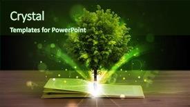  Presentation with green tree - Presentation with open book with magical green background and a tawny brown colored foreground